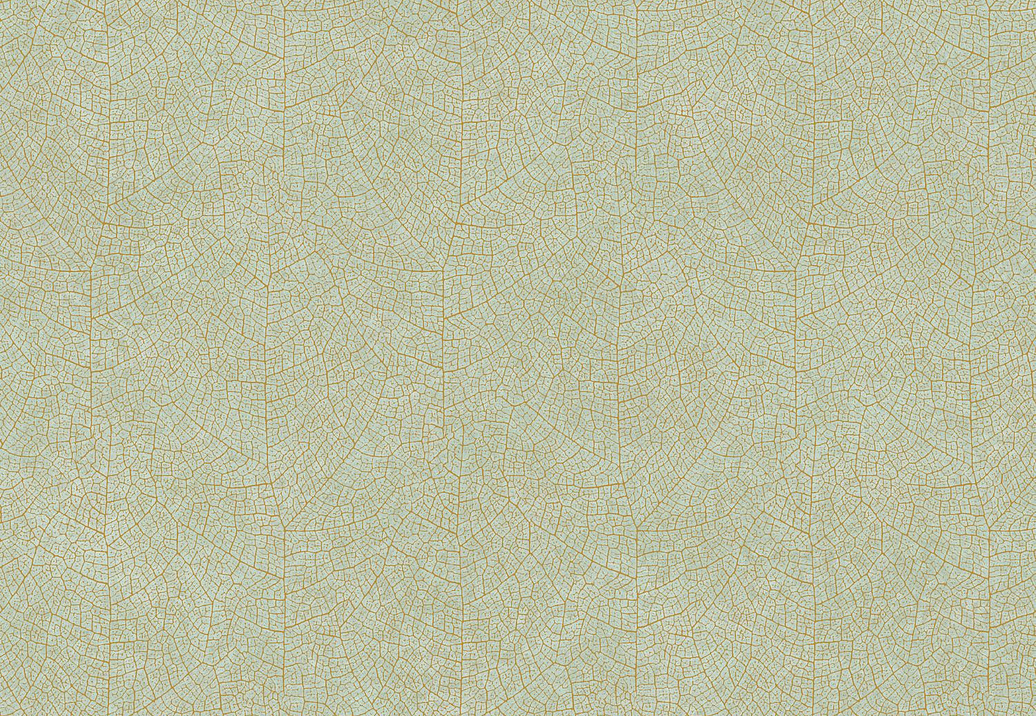 Обои Casadeco So Color 5 COLR26217010