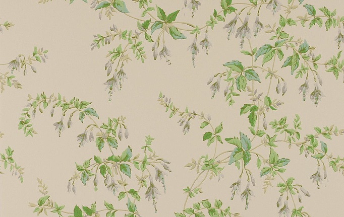 Английские обои Colefax and Fowler, коллекция Ashdown Wallpapers, артикул W7018/02