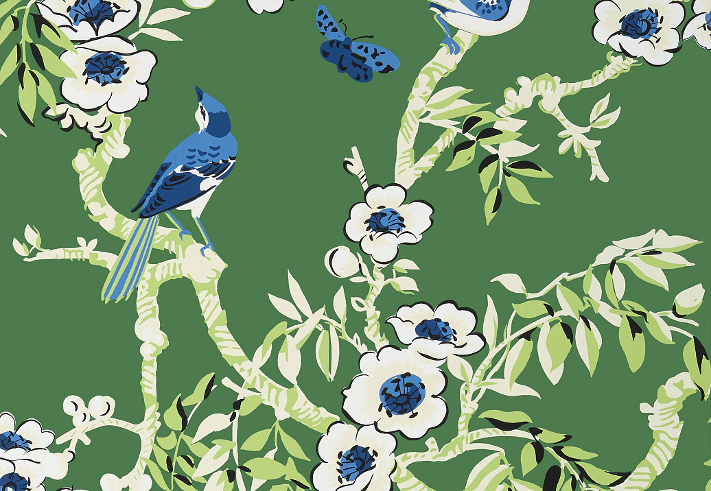 Обои Thibaut Eden T20841