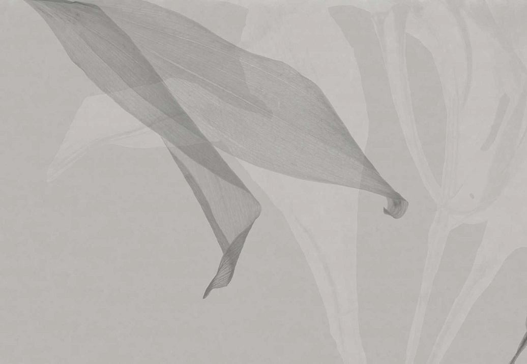 Обои Glamora Creative Wallcovering GLXI181A