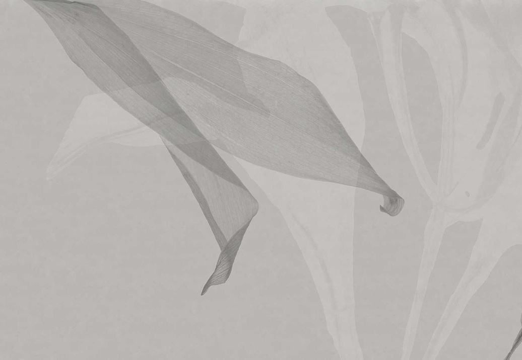 Обои Glamora Creative Wallcovering GLXI181A