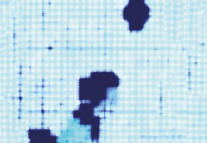 Панно и фотообои NLXL Paola Navone & Daniel Rozensztroch PNO-06