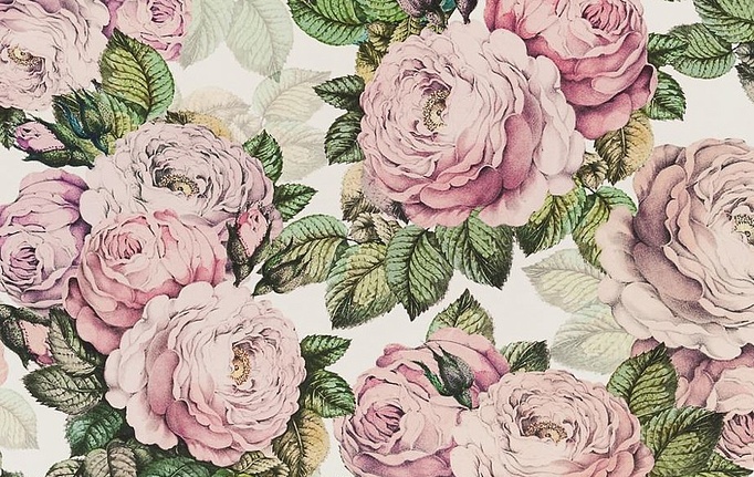Английская ткань Designers Guild, коллекция Picture Book Prints, артикул FJD6006/02