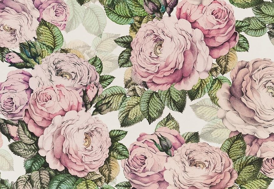 Ткань Designers Guild Picture Book Prints FJD6006/02