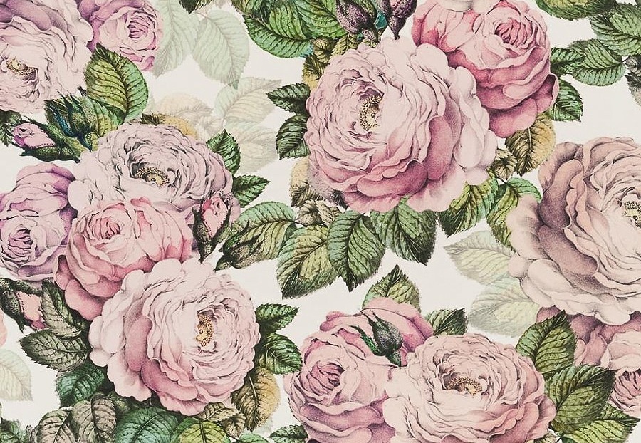 Ткань Designers Guild Picture Book Prints FJD6006/02