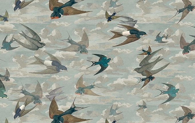 Английская ткань Designers Guild, коллекция Picture Book Prints, артикул FJD6009/01