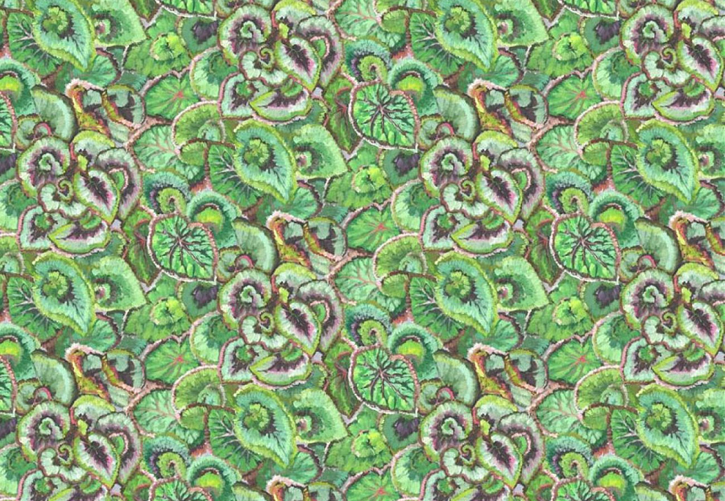 Ткань Designers Guild Pottery Studio FDG3165/01
