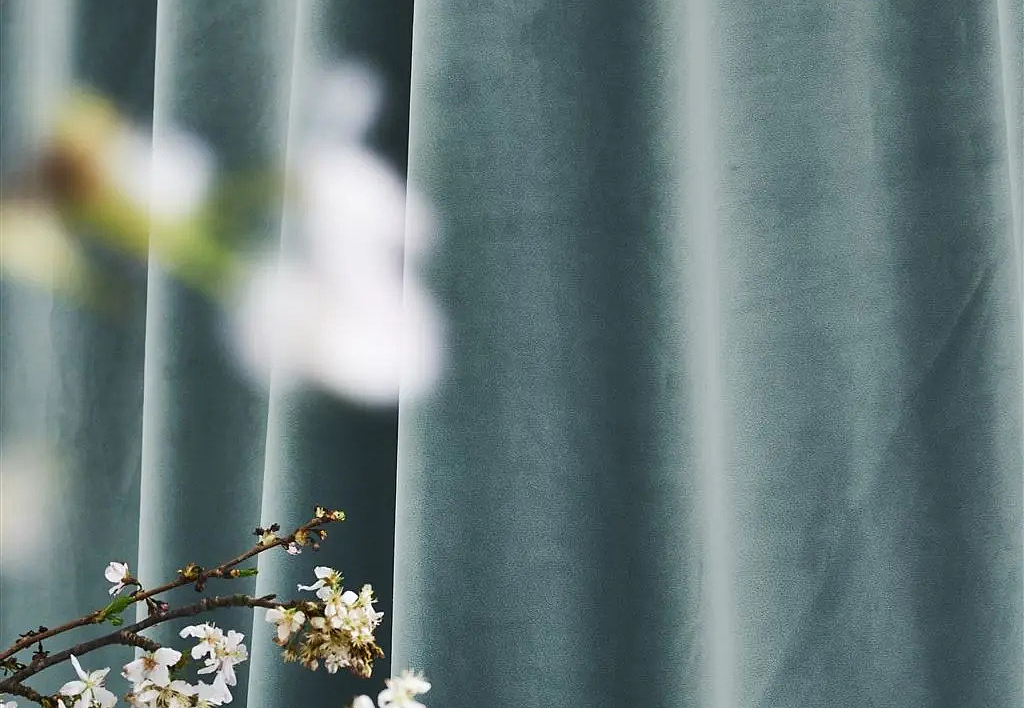 Ткань Designers Guild Velluto II FDG2704/51