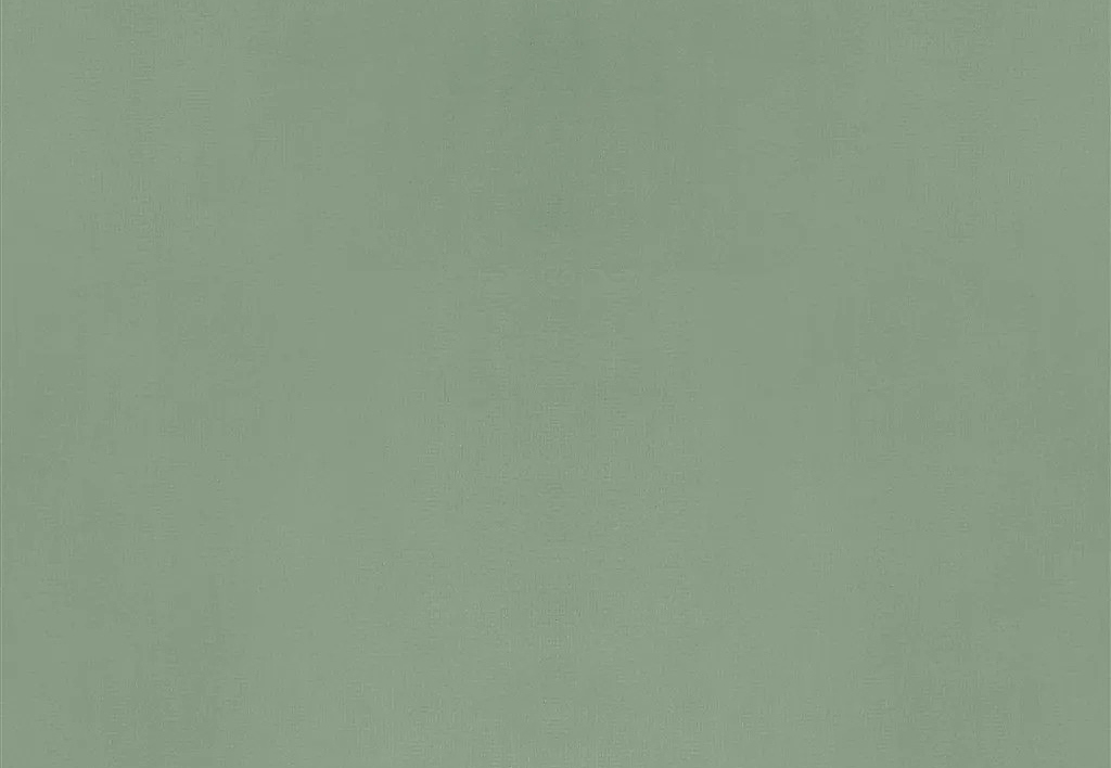 Ткань Designers Guild Velluto II FDG2704/54