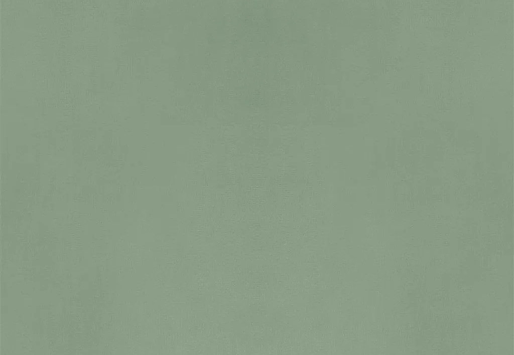 Ткань Designers Guild Velluto II FDG2705/54