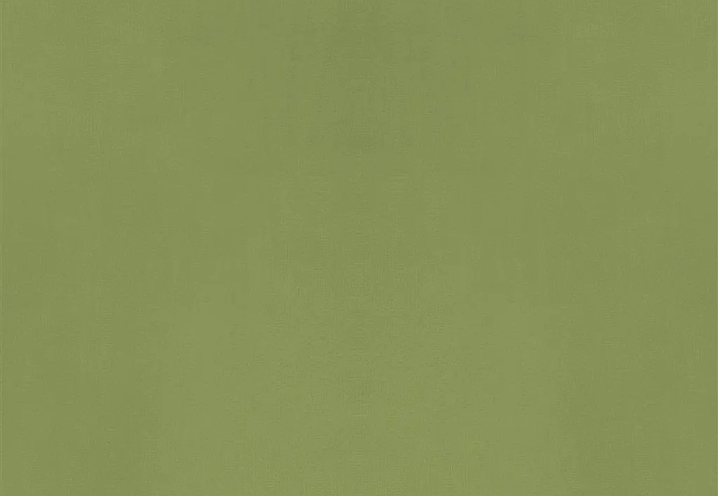 Ткань Designers Guild Velluto II FDG2705/56
