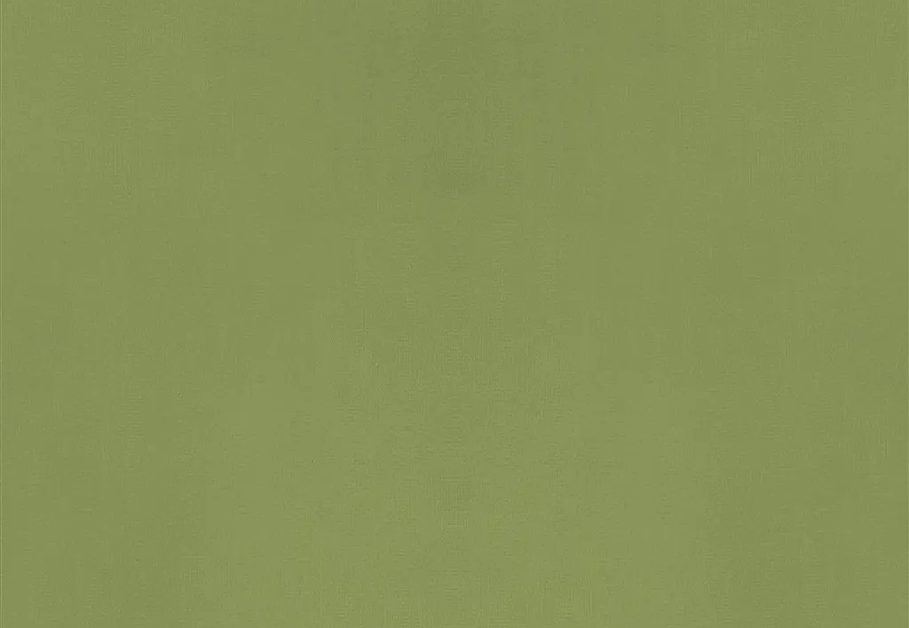 Ткань Designers Guild Velluto II FDG2705/56
