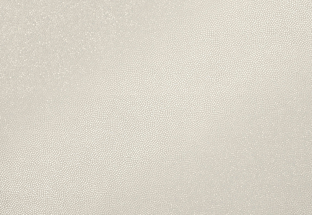 Обои Zinc Escape ZW117/01
