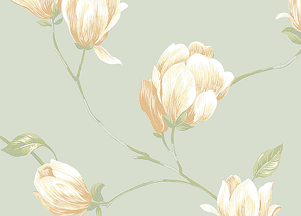 Обои Aura English Florals G34330
