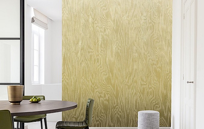 Обои Khroma Wall Designs IV DG4MOI1012-260