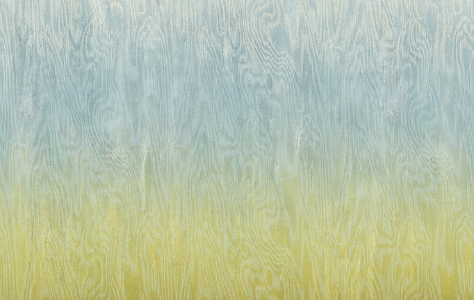 Бельгийские обои Khroma, коллекция Wall Designs IV, артикул DG4MOI1073-300