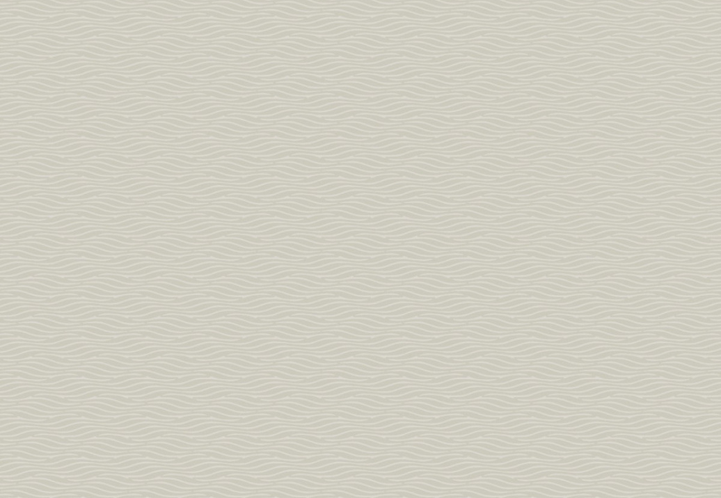 Обои York Natural Discovery (Candice Olson) NT6153