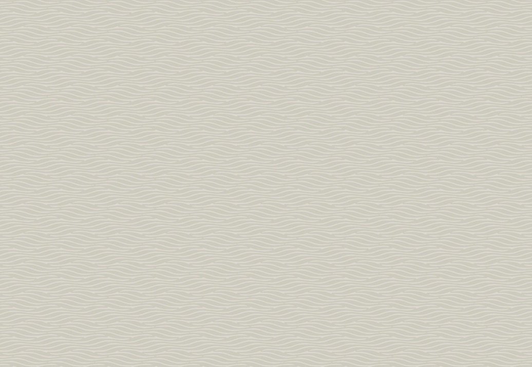 Обои York Natural Discovery (Candice Olson) NT6153