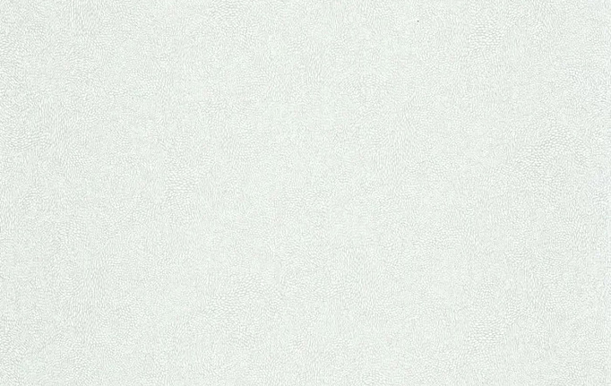 Французские обои Caselio, коллекция Color Box 3, артикул CB3101847028
