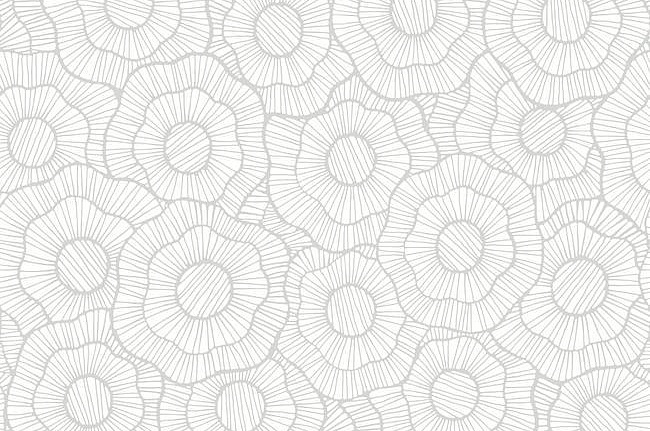 Обои York Stacy Garcia - Paper Muse ST6004
