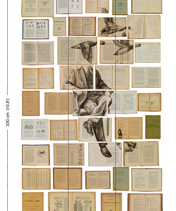 Панно и фотообои NLXL Biblioteca EKA-01