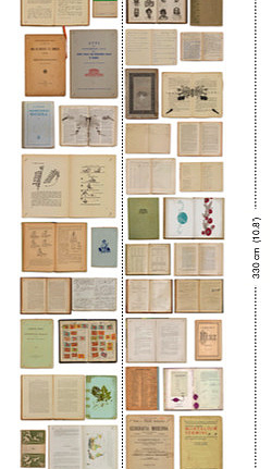 Панно и фотообои NLXL Biblioteca EKA-07