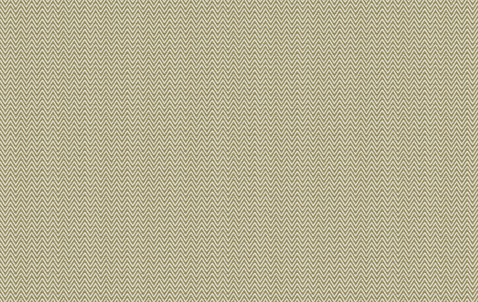 Американская ткань Trend, коллекция Navy-Amethyst Prints & Wovens Vol.II, артикул 04219/Olive