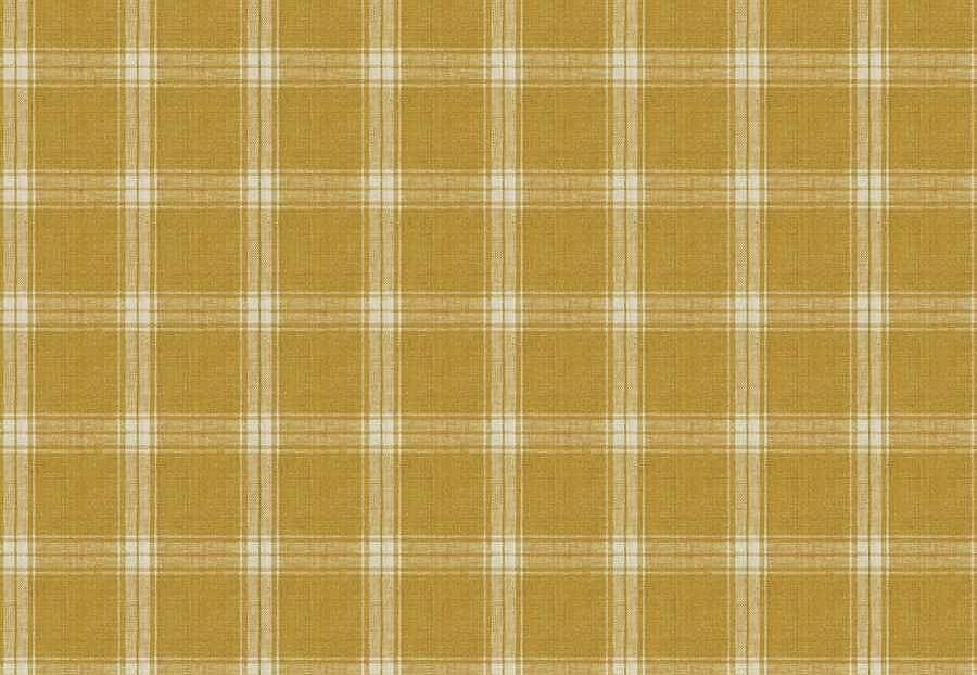 Ткань Fabricut Natural Layers Multipurpose Ratan Sangay/Marigold