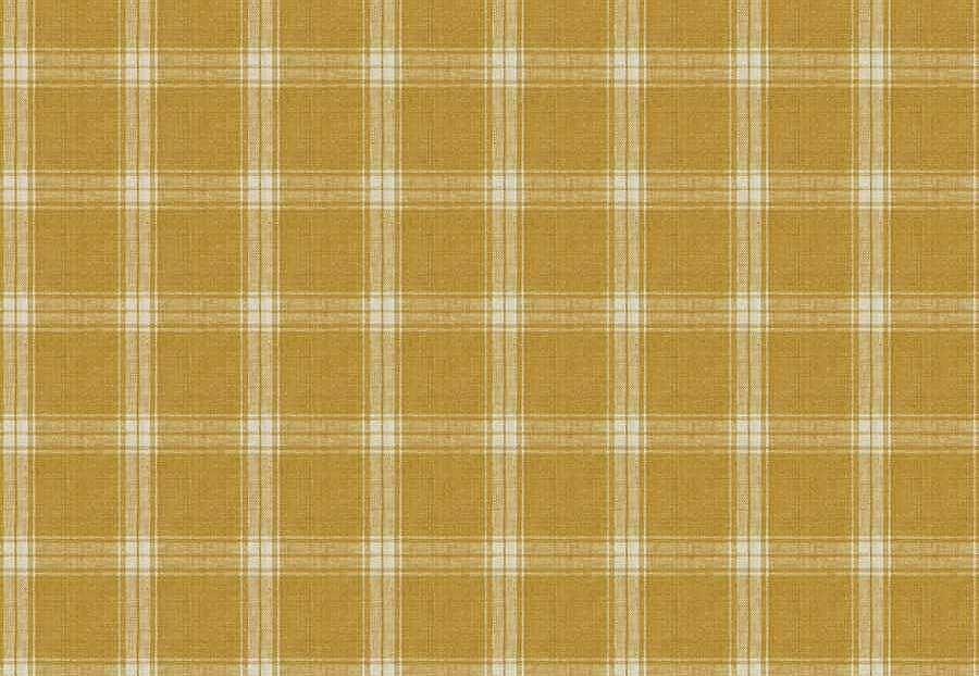 Ткань Fabricut Natural Layers Multipurpose Ratan Sangay/Marigold