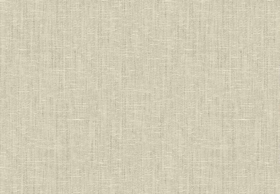 Ткань Fabricut Wide Natural Sheers Textural Breeze Pearl Papagayo/Papyrus