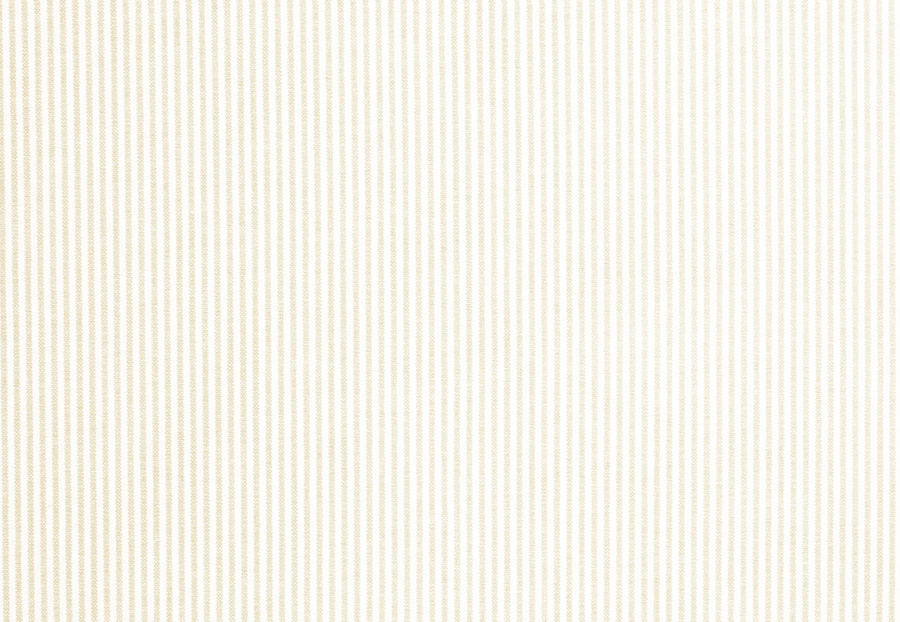 Ткань Fabricut Checks&Stripes Avalon Lane Lincoln/Eggshell