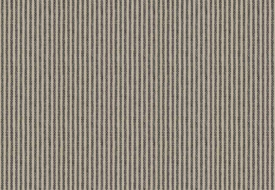 Ткань Fabricut Checks&Stripes Avalon Lane Bitterroot/Newsprint