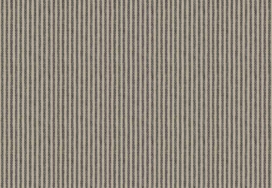 Ткань Fabricut Checks&Stripes Avalon Lane Bitterroot/Newsprint