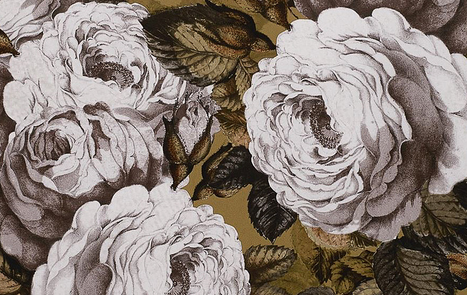 Английские обои Designers Guild, коллекция John Derian - Picture Book, артикул PJD6002-04