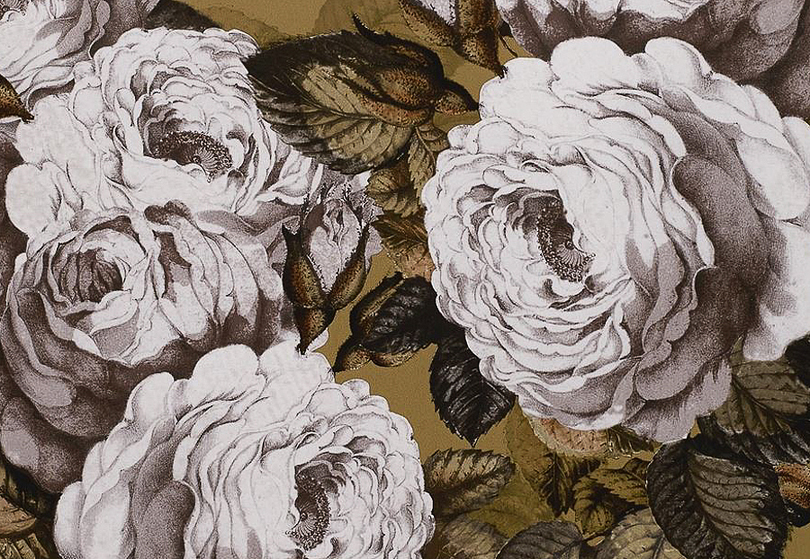 Обои Designers Guild John Derian - Picture Book PJD6002-04