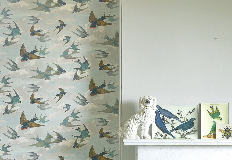 Обои Designers Guild John Derian - Picture Book PJD6003-01