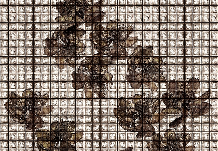 Панно и фотообои Wall & Deco Collection 2018 WDAK1802