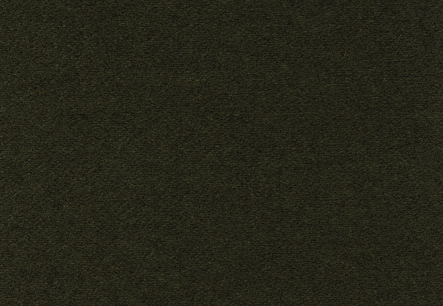 Ткань Elitis Flanelle WO10162