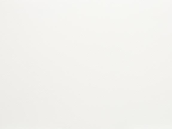 Ткань Holly Hunt Holly Hunt Leather 9250/21