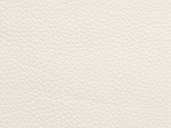 Ткань Holly Hunt Holly Hunt Leather 9377/02