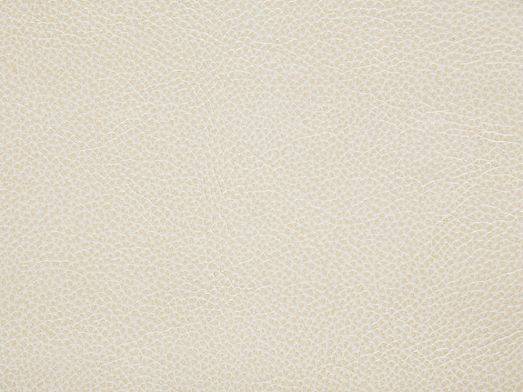 Ткань Holly Hunt Holly Hunt Leather 6013/01