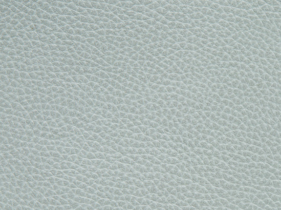 Ткань Holly Hunt Holly Hunt Leather 6013/09