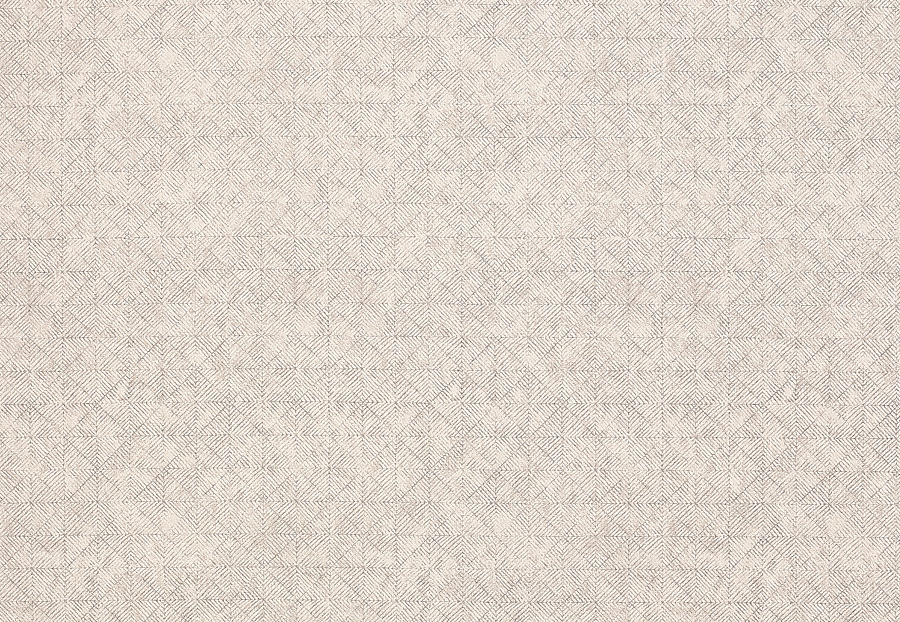 Ткань Jane Churchill Sansa weaves J0073-01