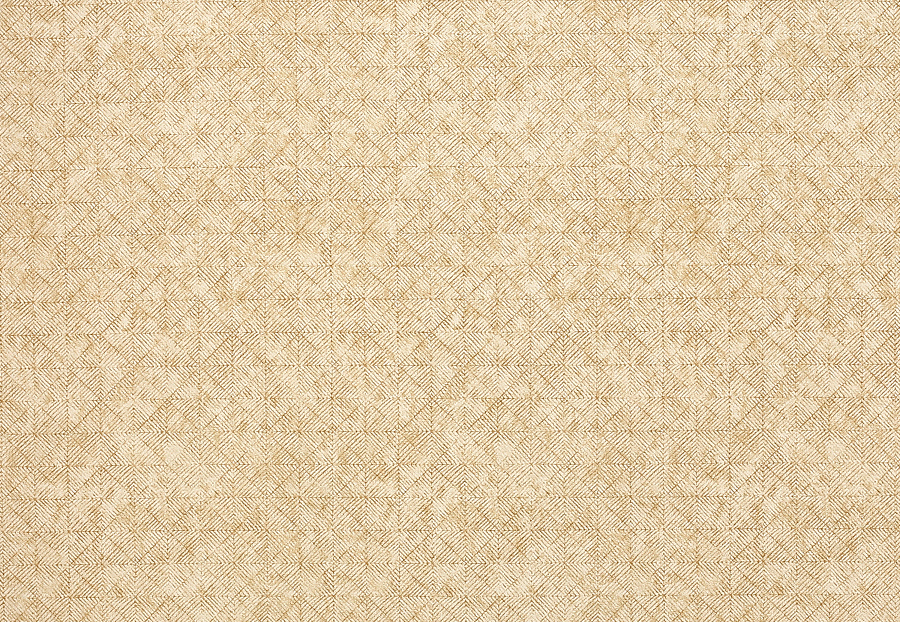 Ткань Jane Churchill Sansa weaves J0073-02
