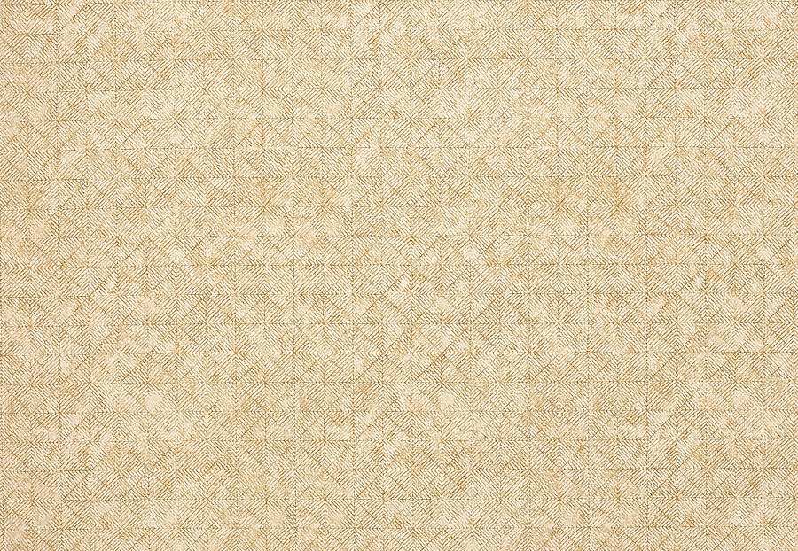 Ткань Jane Churchill Sansa weaves J0073-02