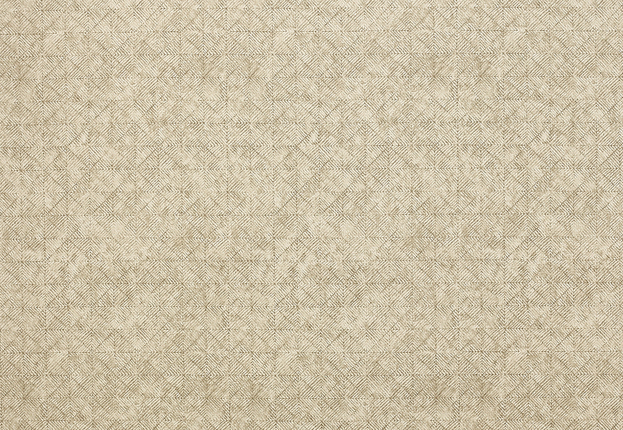 Ткань Jane Churchill Sansa weaves J0073-03