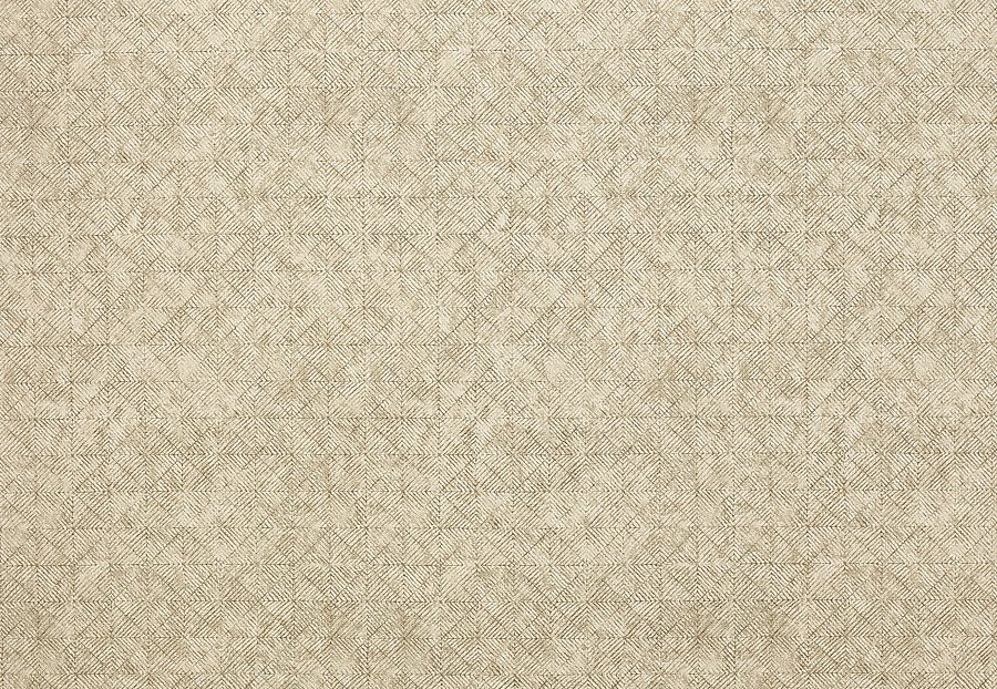 Ткань Jane Churchill Sansa weaves J0073-03