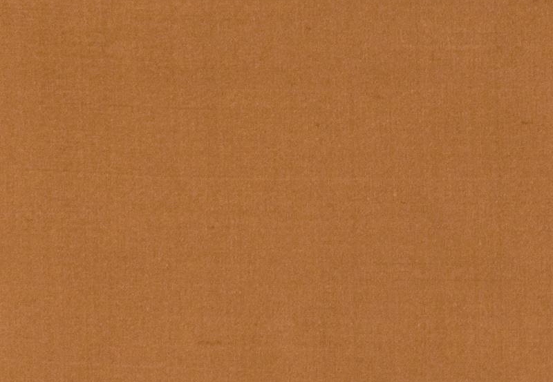 Ткань Fabricut Douppioni Silk Vol.II Multipurpose Douppioni silk/Autumn