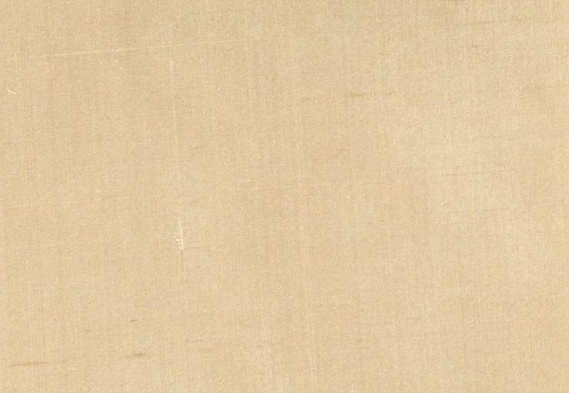 Ткань Fabricut Douppioni Silk Vol.II Multipurpose Douppioni silk/Driftwood
