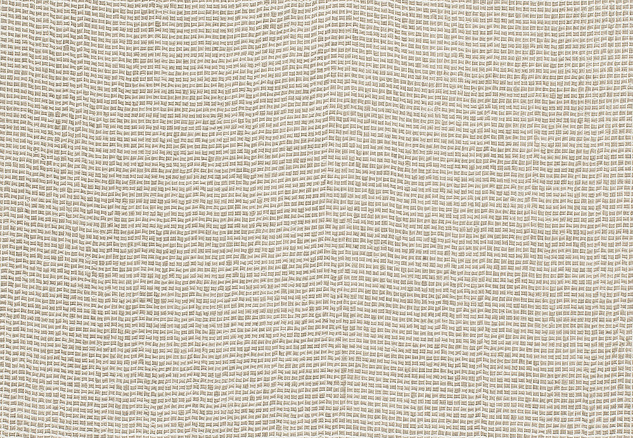Ткань Fabricut Inspirations Vol.VI Linen Nala/Buff